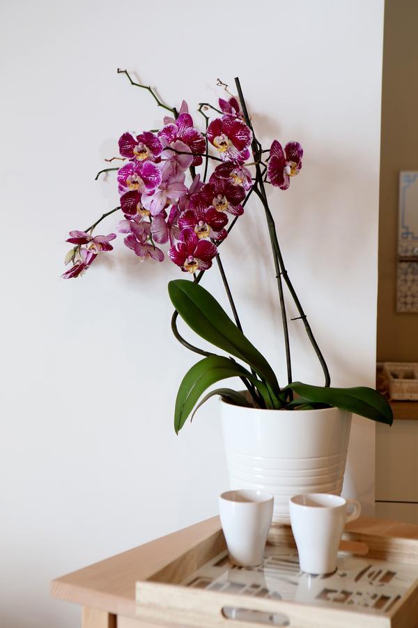 I 3 Mori Bed & Breakfast Barcellona-Pozzo di Gotto Exterior photo